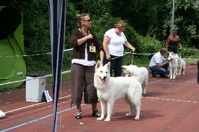 Du Jardin Des P'tits Loups - Swisscup 2012