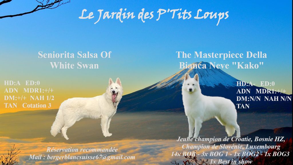 Du Jardin Des P'tits Loups - Mariage 2024