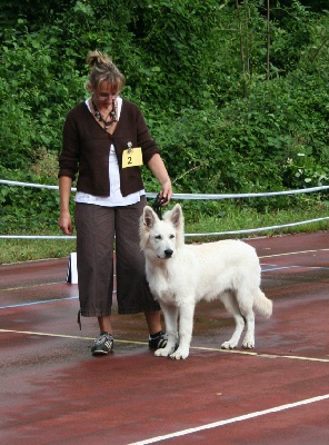 Du Jardin Des P'tits Loups - Swisscup 2012