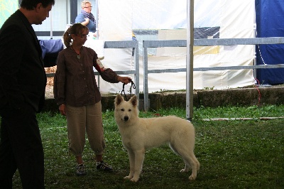 Du Jardin Des P'tits Loups - Exposition Internationale Ludwigshaffen