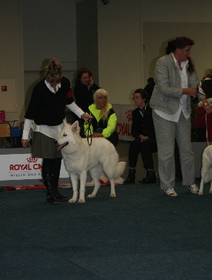 Du Jardin Des P'tits Loups - Expostion de Beauté CACIB