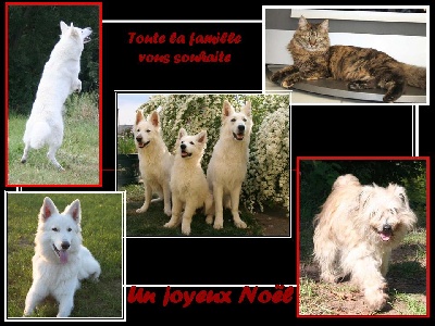 Du Jardin Des P'tits Loups - Bonnes fêtes de fin d'année