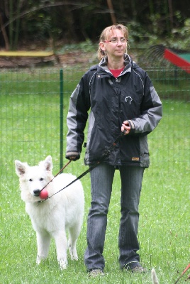 Du Jardin Des P'tits Loups - Tests Internes